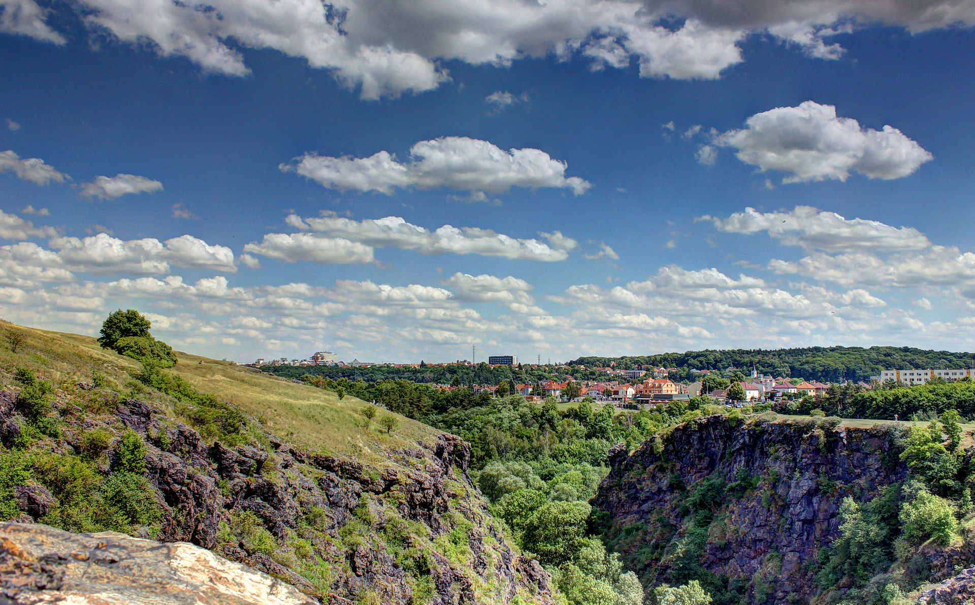 Přírodní park Šárka – Lysolaje - včera, dnes a zítra 1 Přírodní park Šárka – Lysolaje - včera, dnes a zítra - 11 12 5411637a365bc 0825 divoka sarka